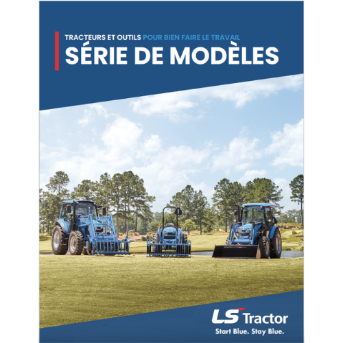 LS Dealership Flyers and Brochures