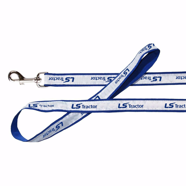 White and blue Dog Leash